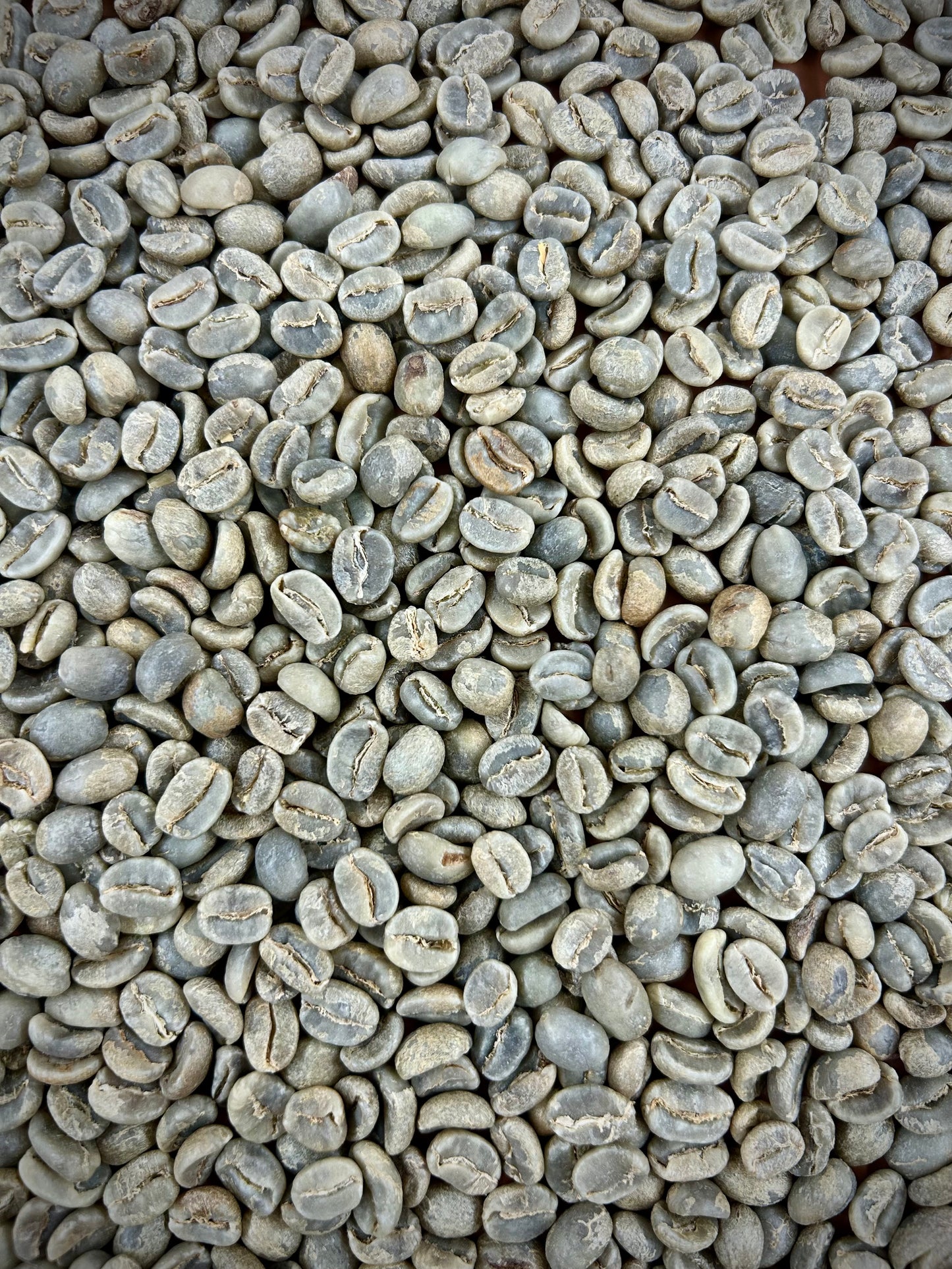 Green Bowl & Pitcher Blend