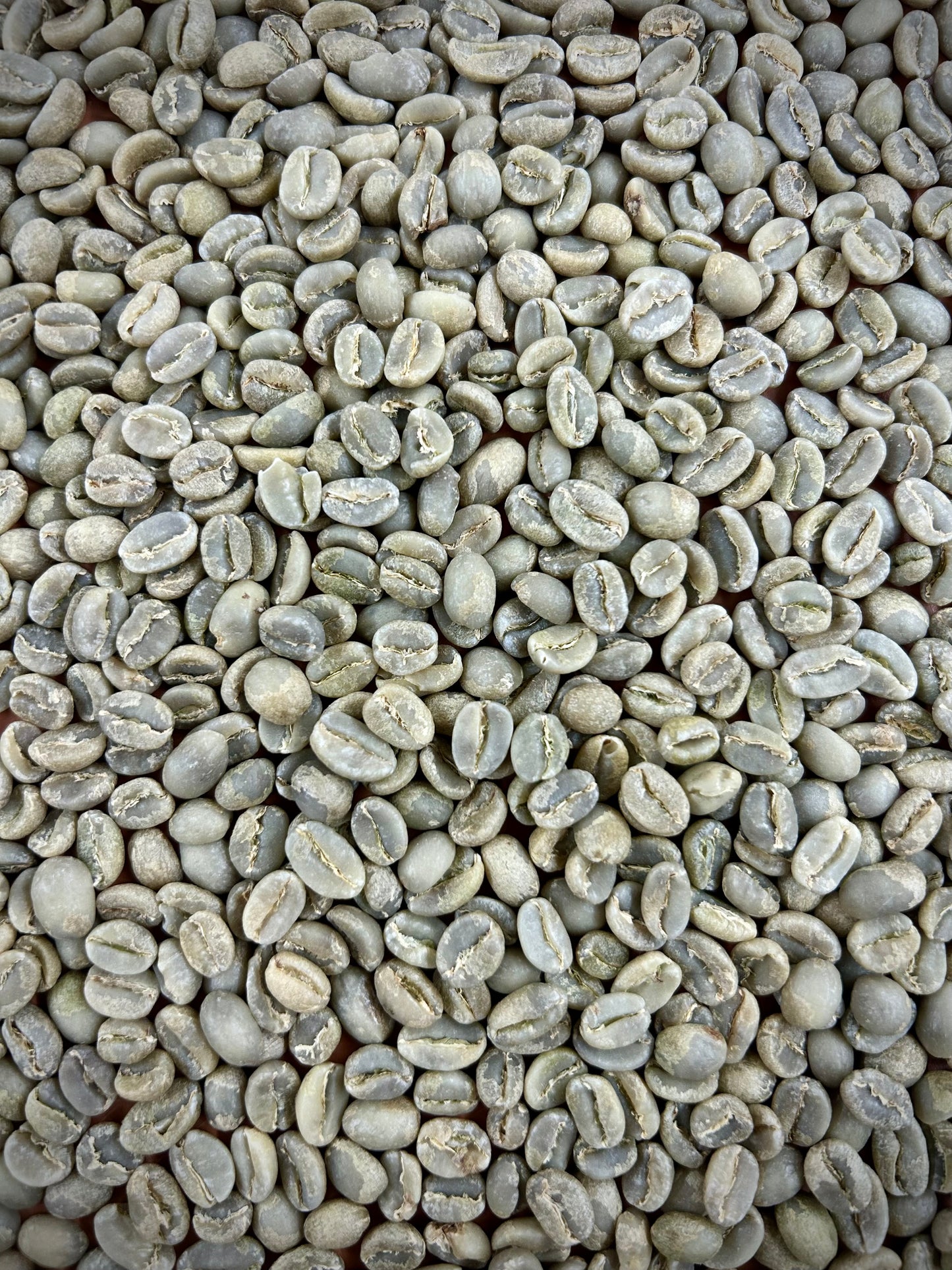 Green Ethiopia Washed