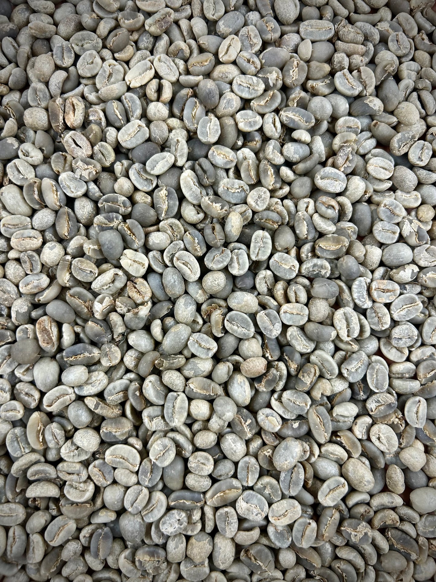 Green French Roast Blend
