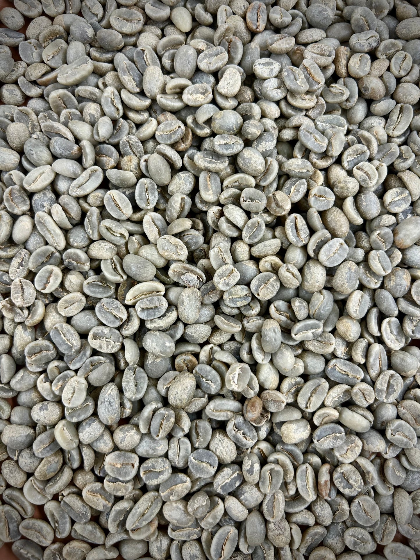 Green Guatemala Ella