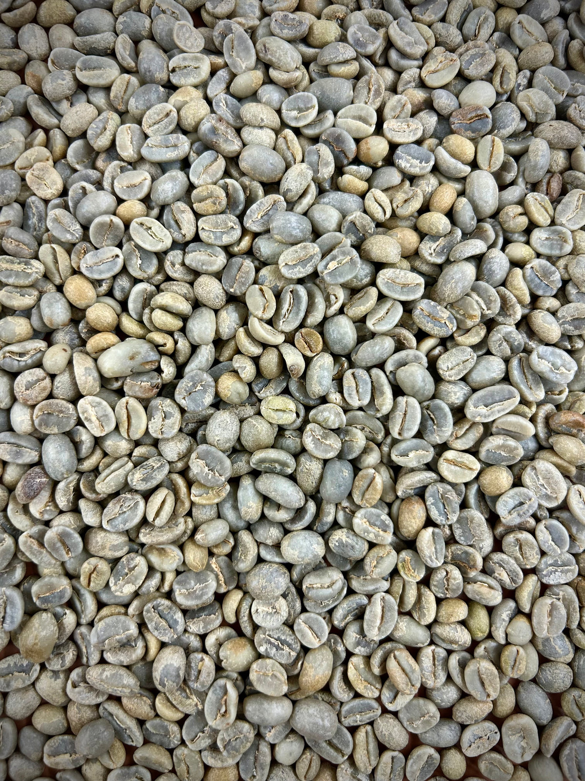 Close-up of green unroasted High Drive Blend coffee beans