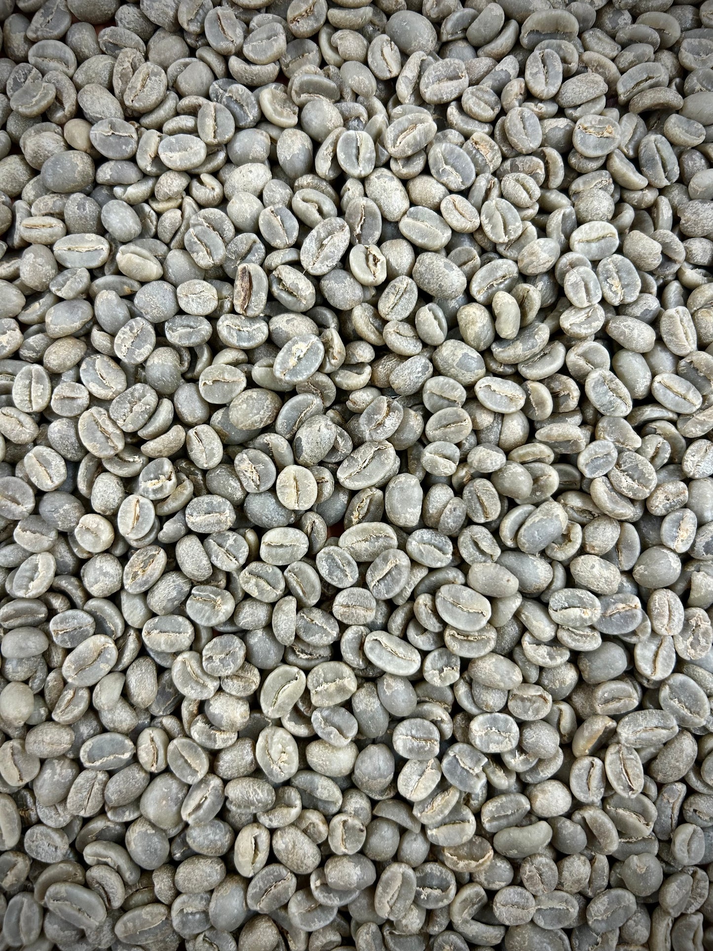 Green Rwanda Sholi