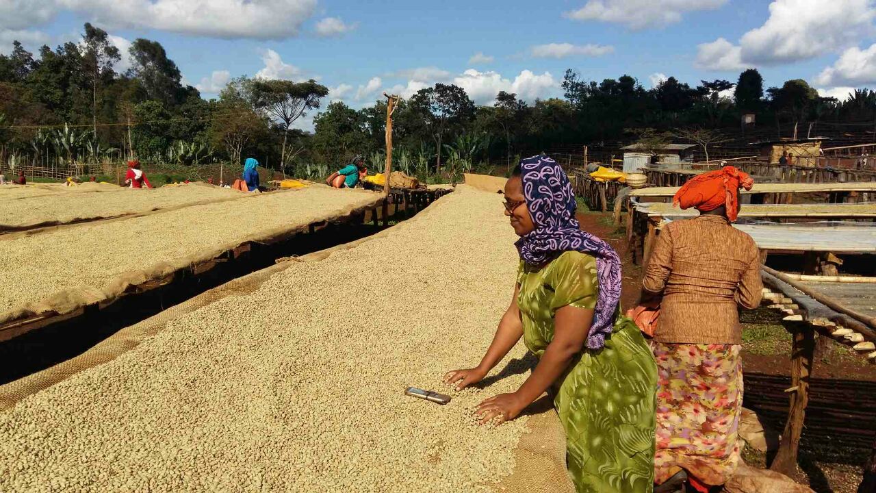 Green Ethiopia Natural