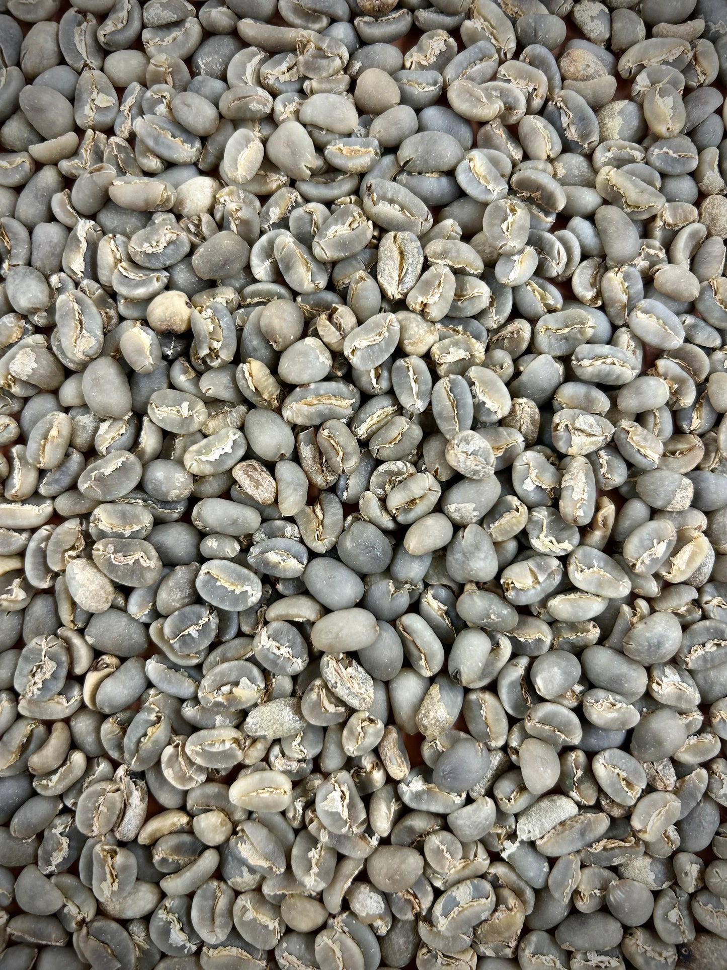 Green Sumatra