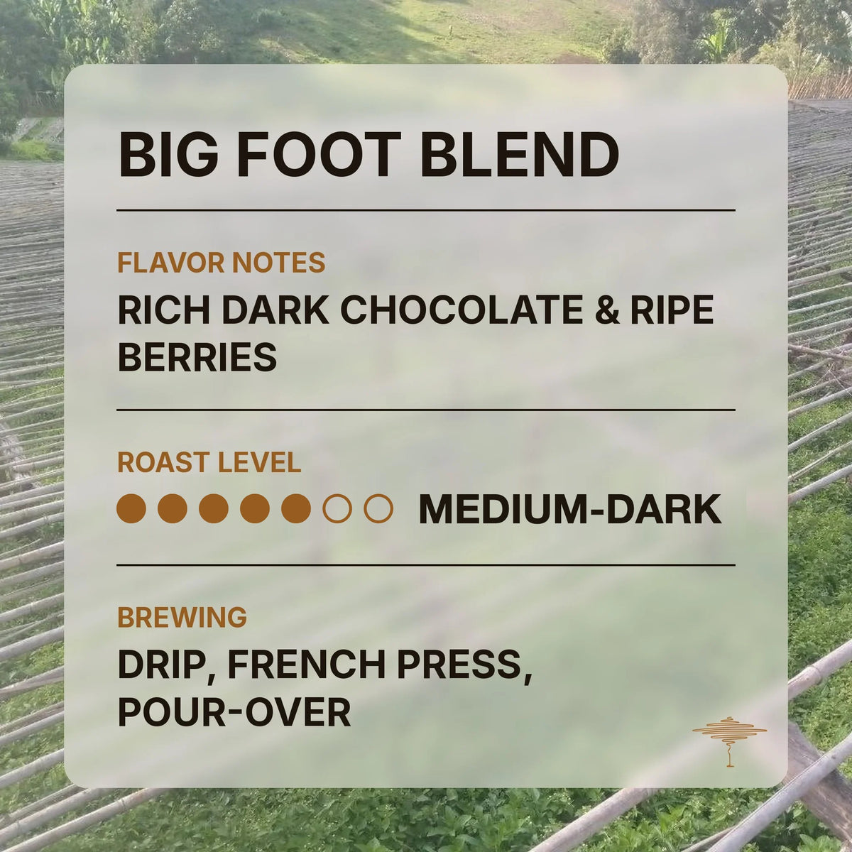 Big Foot Blend flavor profile with tasting notes and roast level