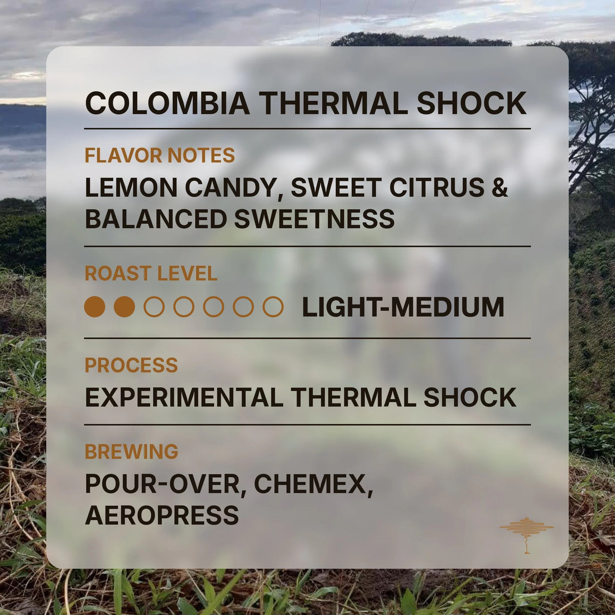 Colombia Thermal Shock flavor profile with tasting notes and roast level