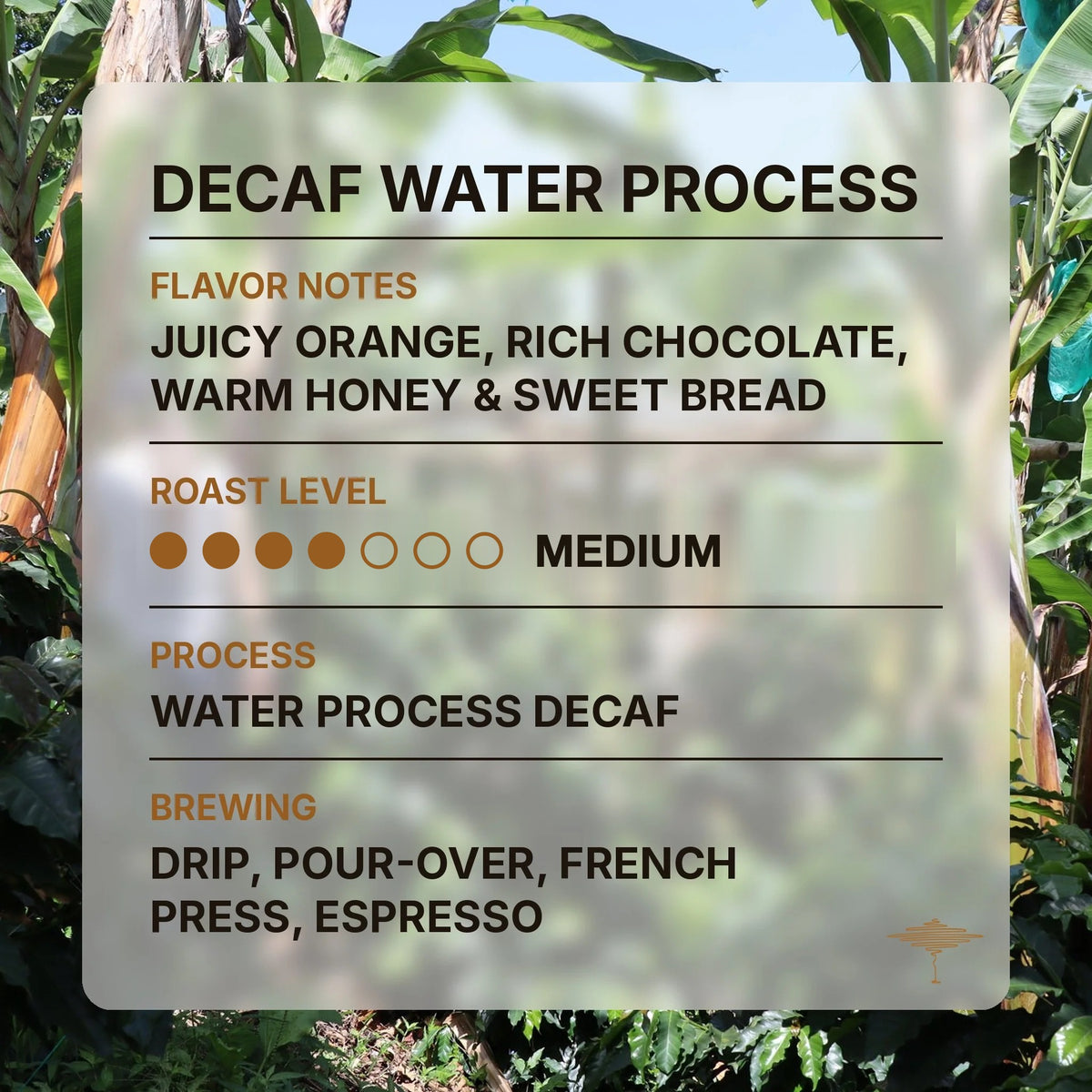 Decaf Water Process flavor profile with tasting notes and roast level
