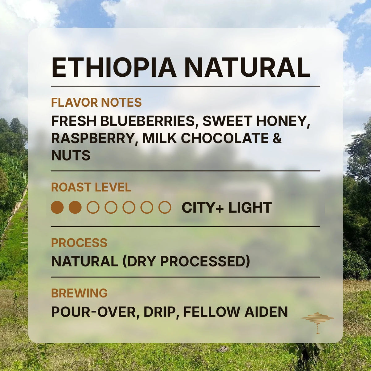 Ethiopia Natural flavor profile with tasting notes and roast level