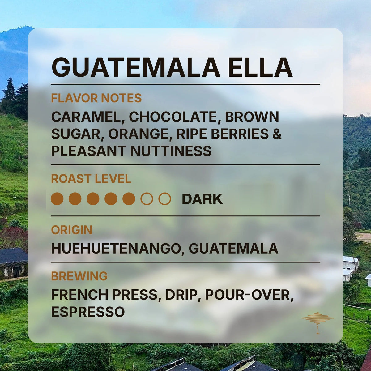 Guatemala Ella flavor profile with tasting notes and roast level
