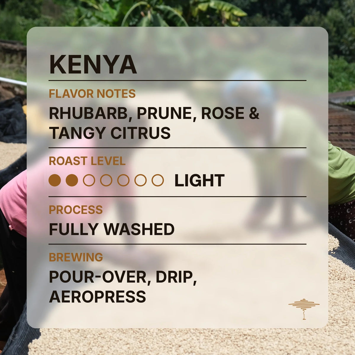 Kenya flavor profile with tasting notes and roast level