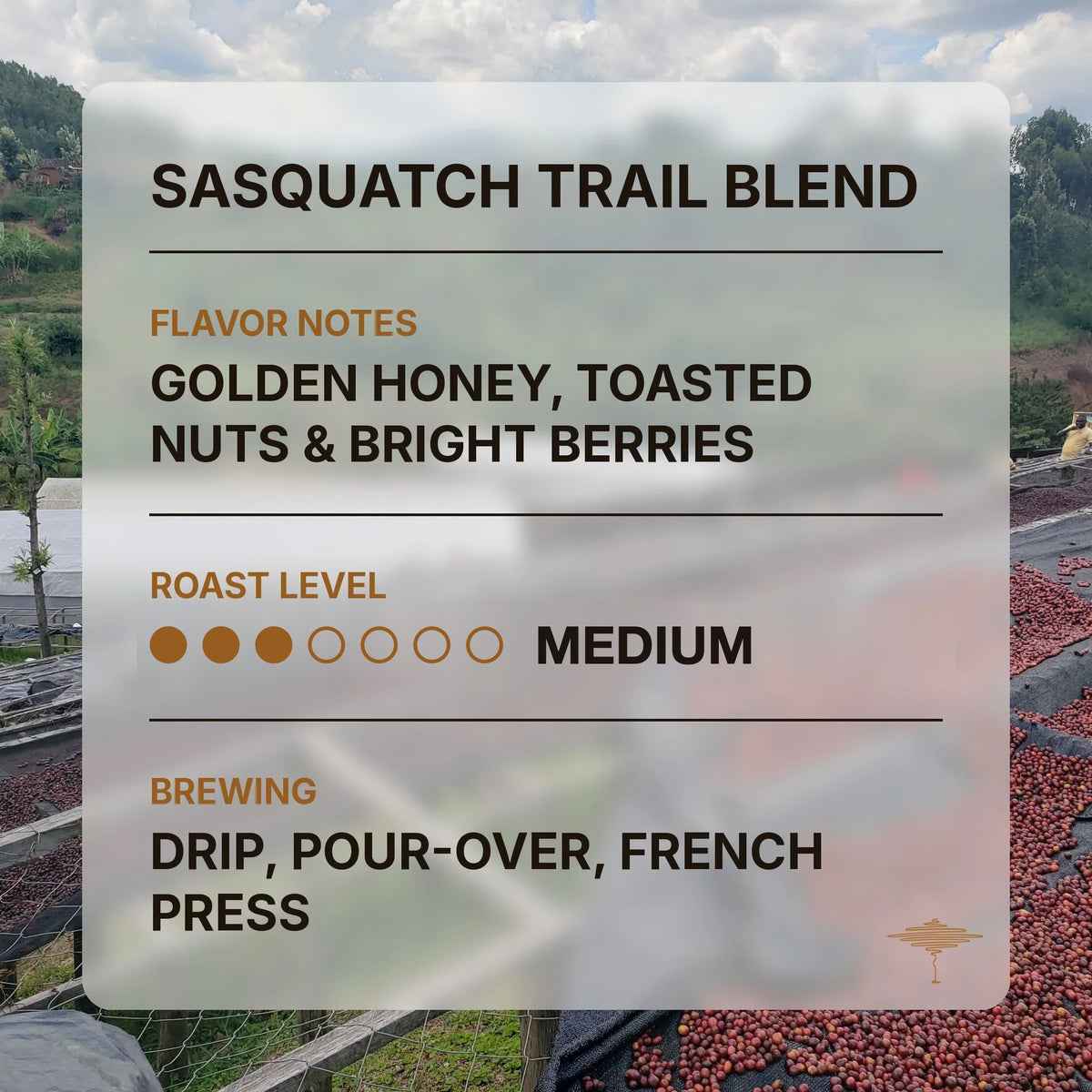 Sasquatch Trail Blend flavor profile with tasting notes and roast level