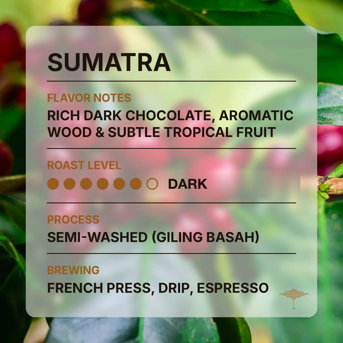 Sumatra flavor profile with tasting notes and roast level