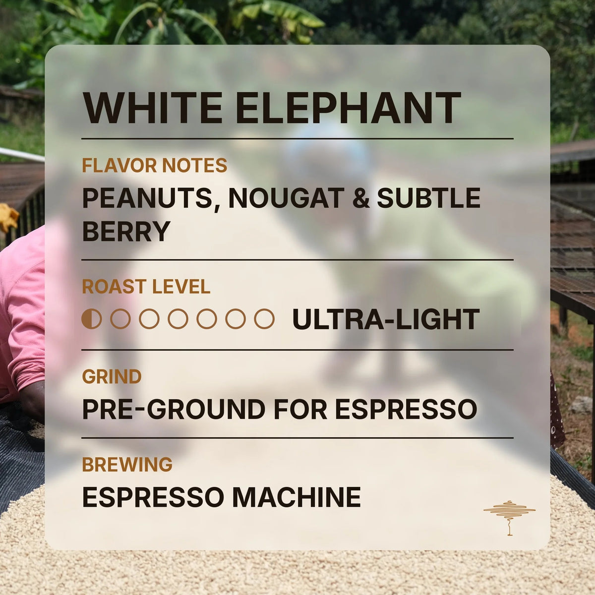 White Elephant flavor profile with tasting notes and roast level
